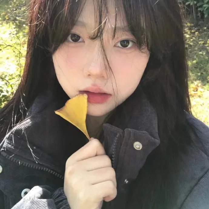 贵妇失踪记